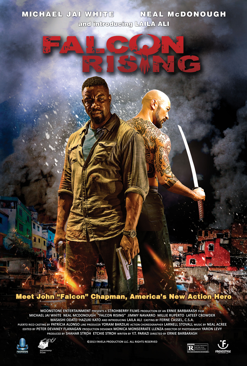 قدرت شاهین (Falcon Rising)