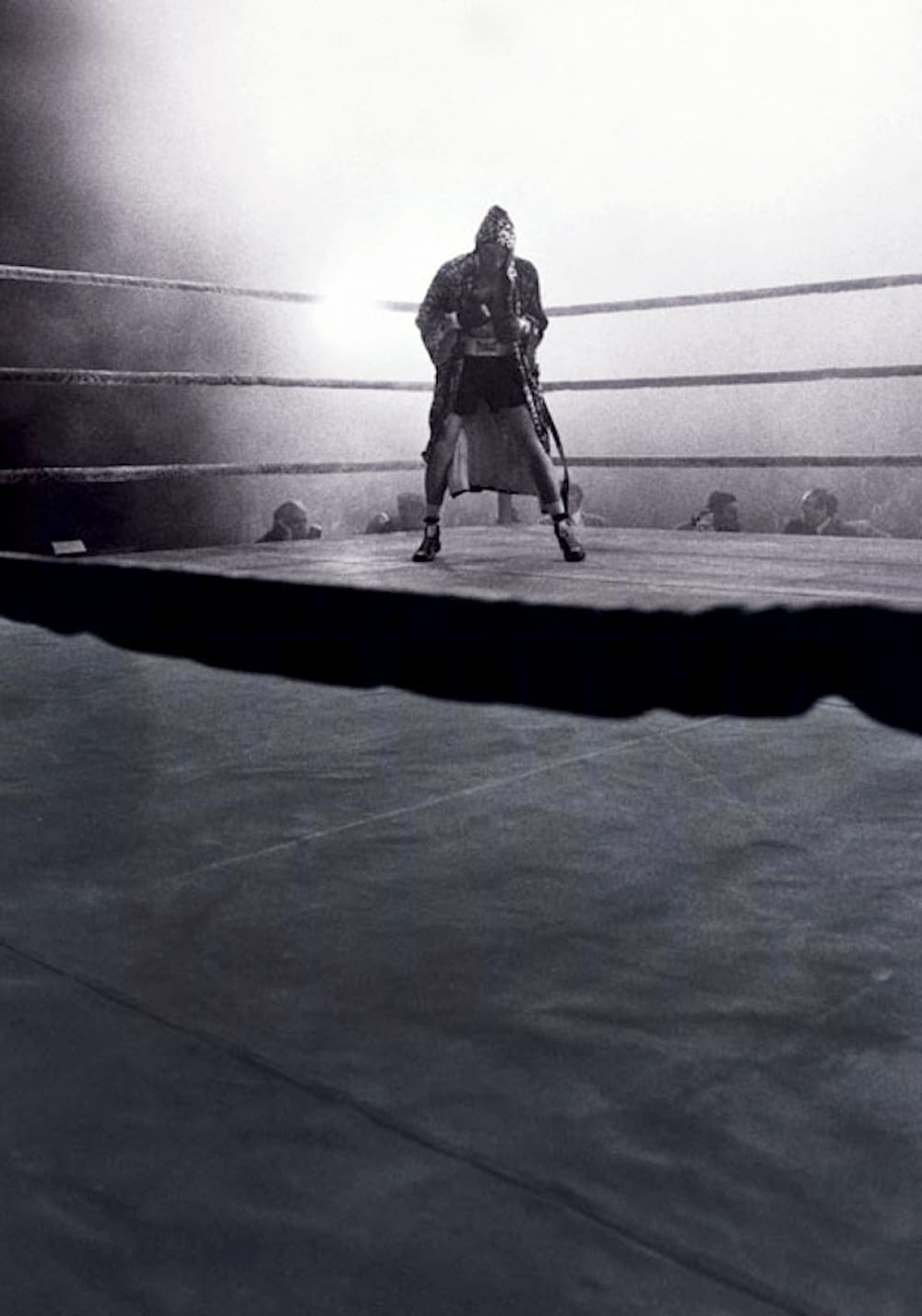 گاو خشمگین (Raging Bull)