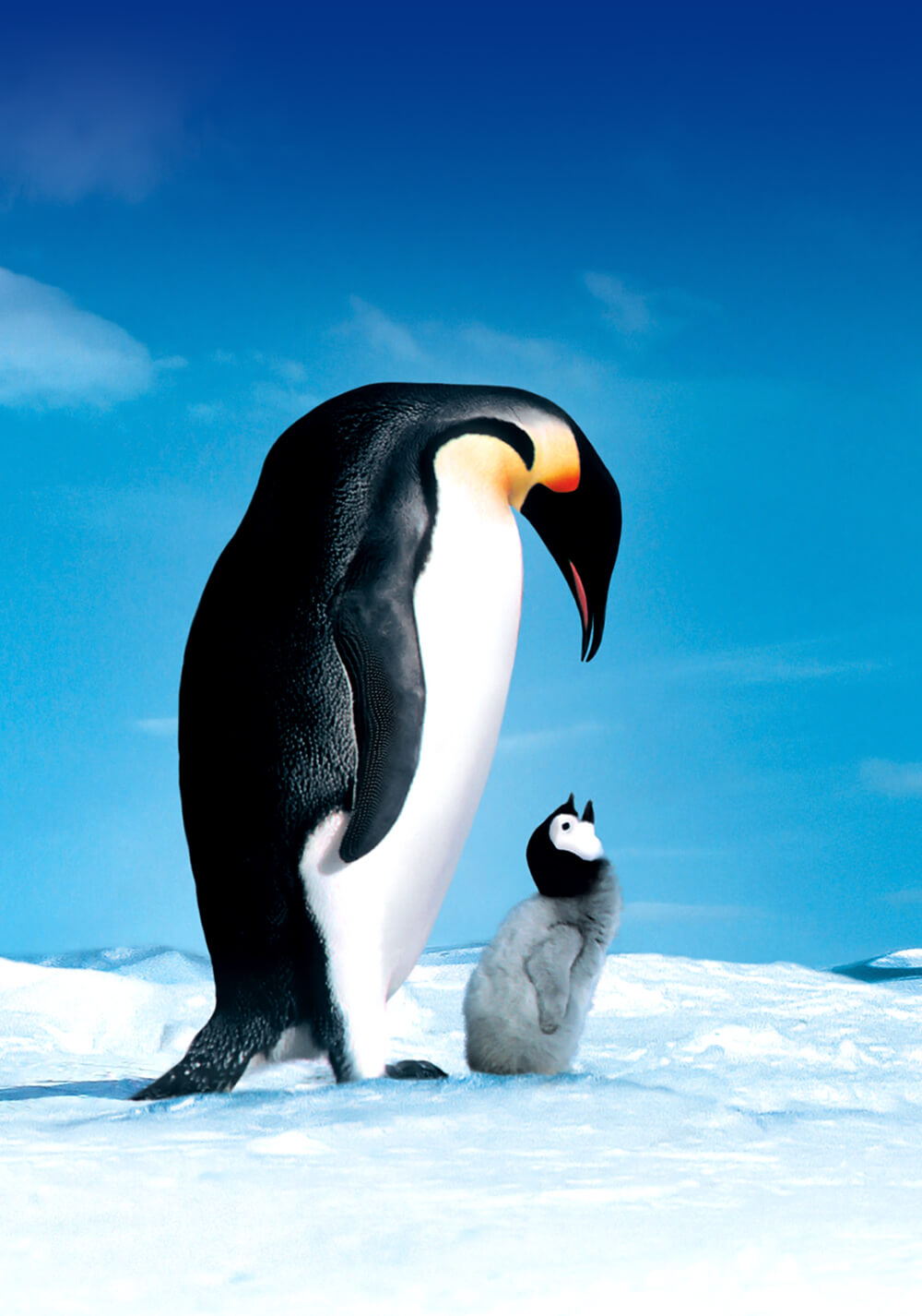 رژه پنگوئن‌ها (March of the Penguins)