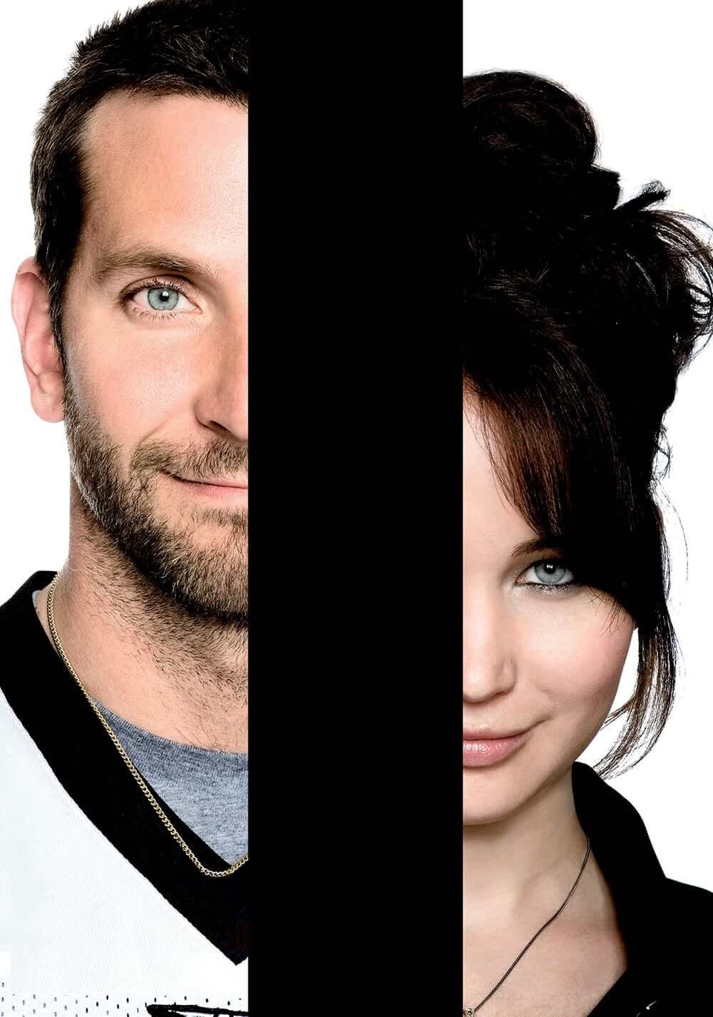 دفترچه امیدبخش (Silver Linings Playbook)