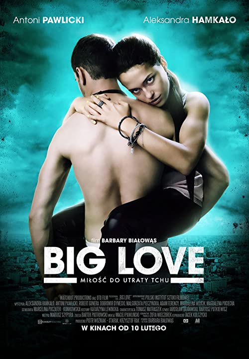 عشق بزرگ (Big Love)