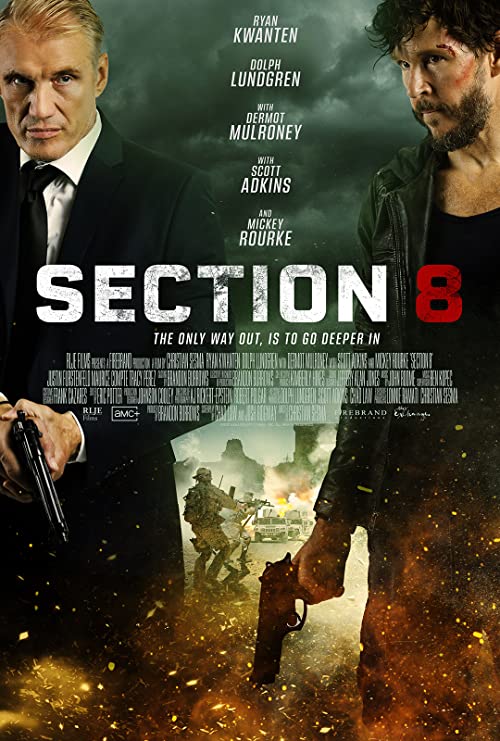 بخش هشتم (Section 8)