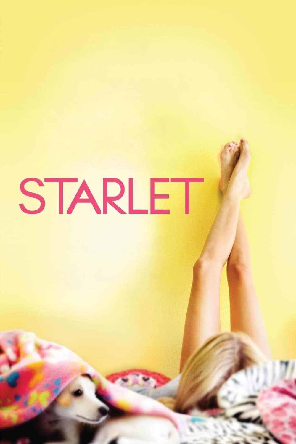 استارلت (Starlet)