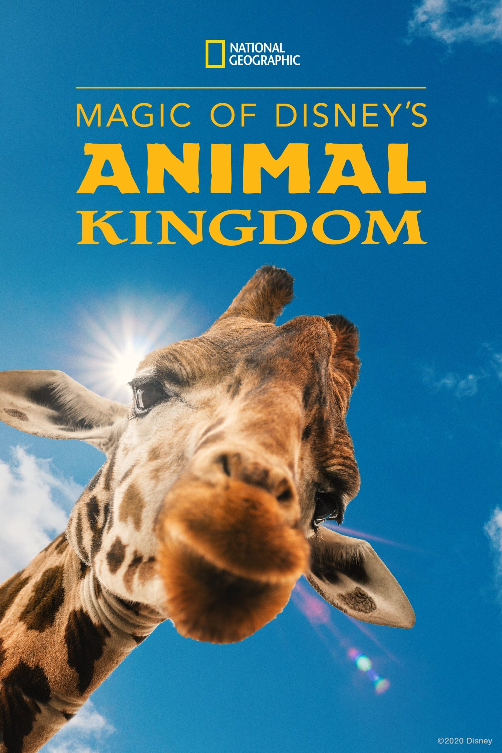 پادشاهی حیوانات دیزنی (Magic of Disneys Animal Kingdom)