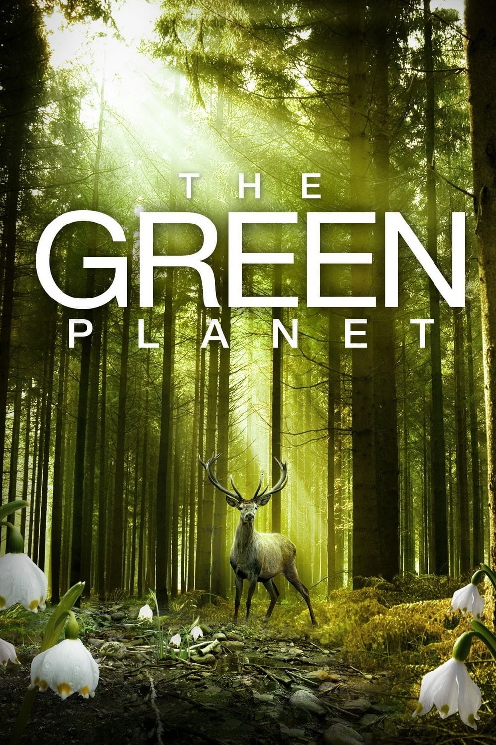 سیاره سبز (The Green Planet)