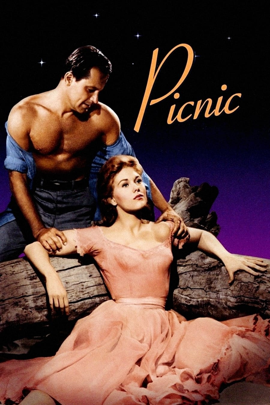 پیک‌نیک (Picnic)