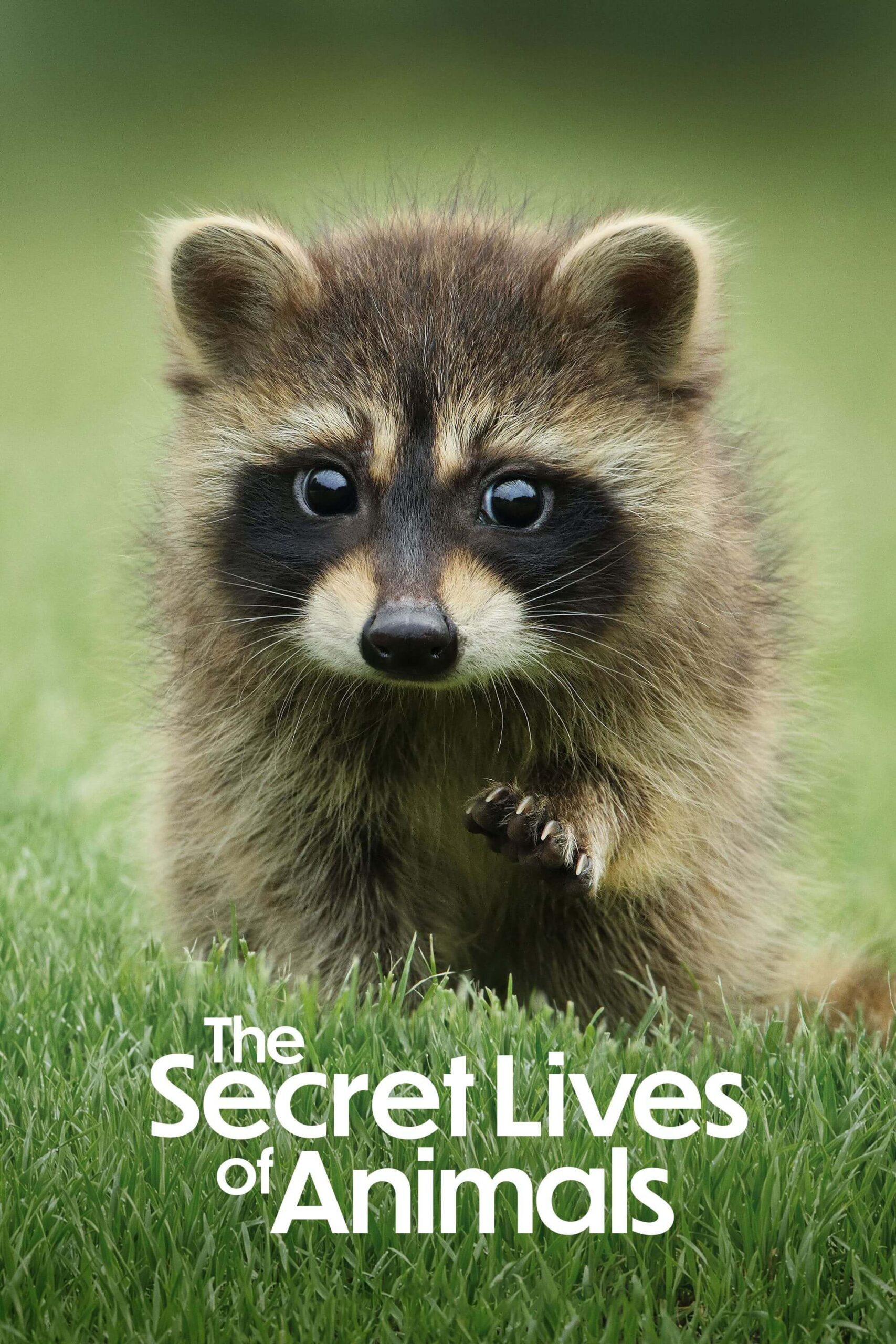 زندگی پنهان حیوانات (The Secret Lives of Animals)