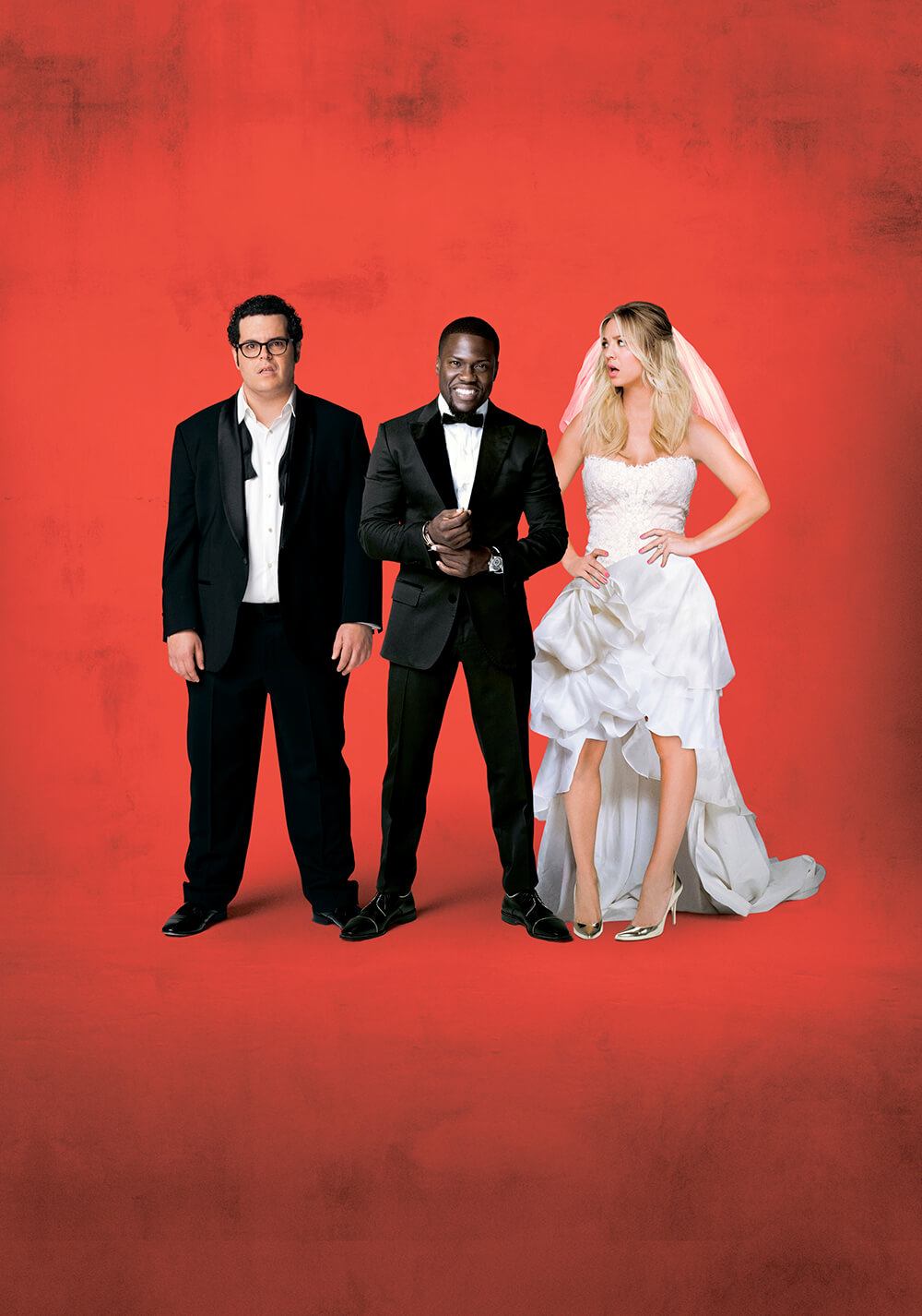 سخنران عروسی (The Wedding Ringer)