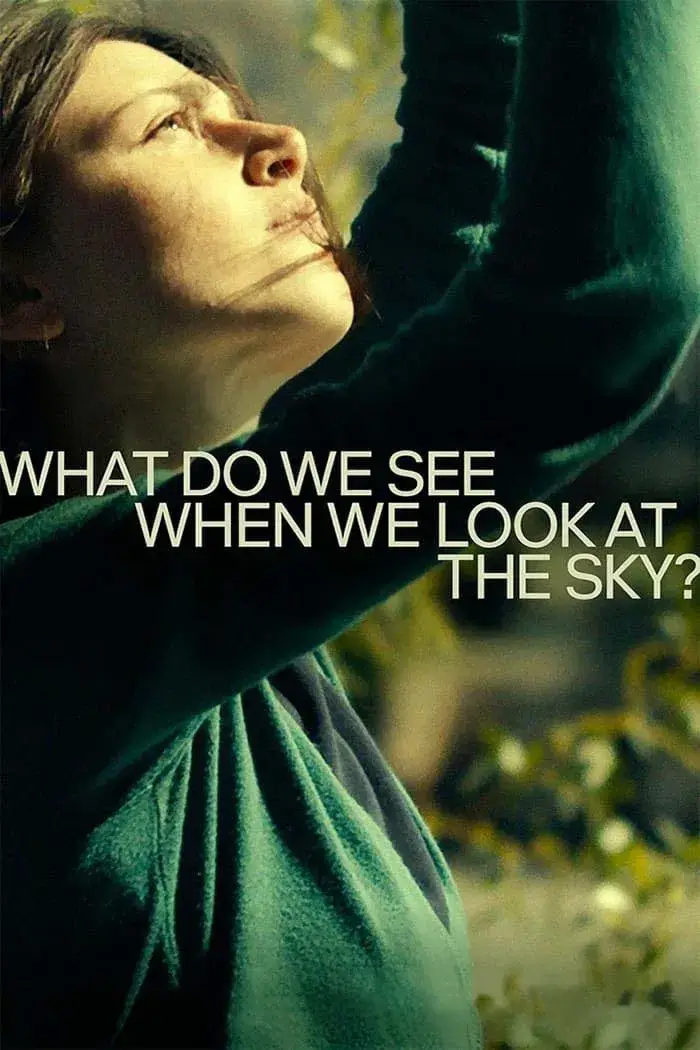 وقتی به آسمان نگاه می‌ کنیم چه می‌ بینیم (What Do We See When We Look at the Sky?)