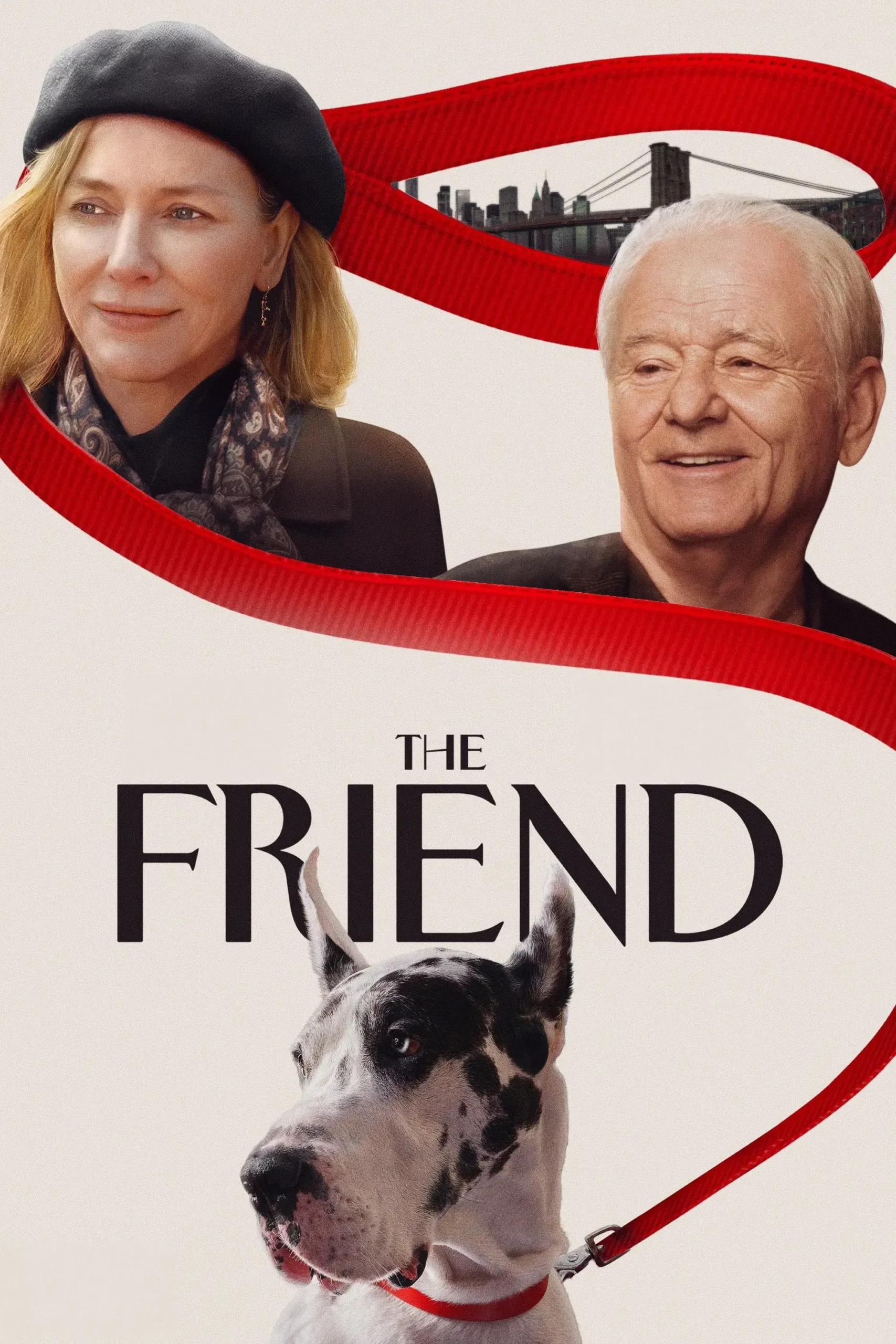دوستی (The Friend)